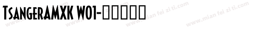 TsangerAMXK W01字体转换